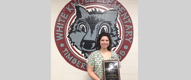 Lexington One School Nurse of the Year Amy Wood