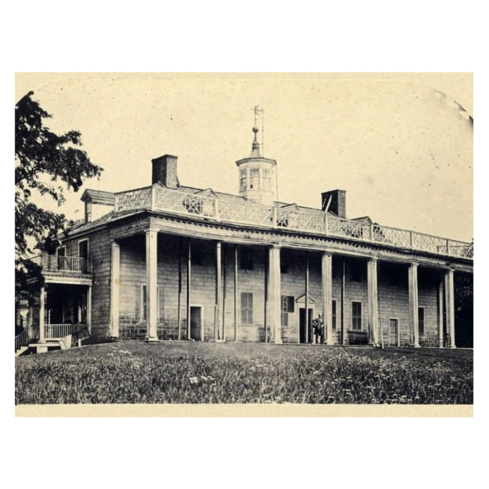 Ann Pamela Cunningham